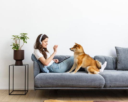 "10 Must - Have Gadgets & Car Essentials for Simplifying Your Life"